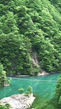静岡県の川根本町寸又峡温泉にある「夢のつり橋」遠景と、それを取り囲む新緑の山々
