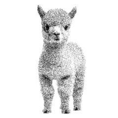 Fototapeta premium Adorable fluffy alpaca - transparent background png stipple dotted halftone monochrome dots