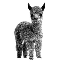 Fototapeta premium Adorable baby alpaca standing isolated on transparent background png stipple dotted halftone monochrome dots