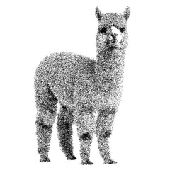 Fototapeta premium Adorable brown alpaca standing isolated on transparent background png stipple dotted halftone monochrome dots