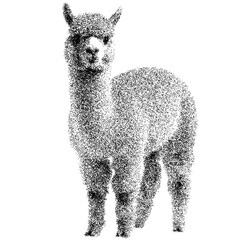 Fototapeta premium Adorable alpaca standing on transparent background png stipple dotted halftone monochrome dots