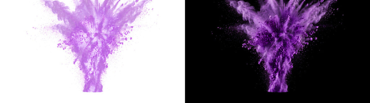Purple powder smoke exploding upward in a vivid holi color burst for festive design projects in PNG, Transparent and Black Background Versions