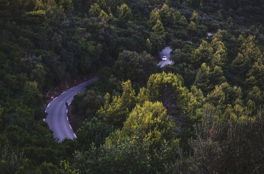 une route tranquille qui traverse une for&ecirc;t dense, entour&eacute;e d&rsquo;arbres hauts, avec une voiture qui roule sur ce chemin. Ambiance paisible et nature.