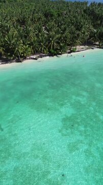 Vertical aerial view Kaniungan Island beach Berau East Kalimantan turquoise water palm trees