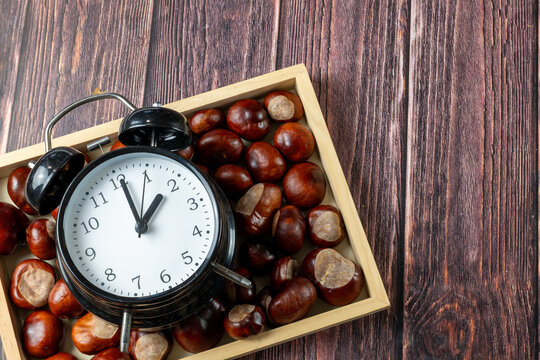 Autumn Clock Surrounded By Conkers