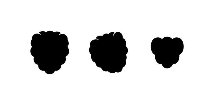 Blackberry Icons