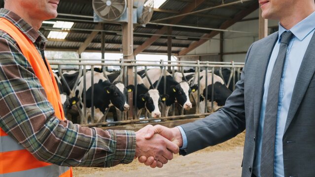 Farmer and businessman shaking hands in a dairy farm barn