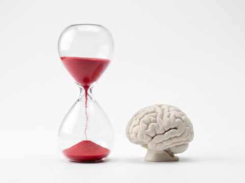 Red sand hourglass standing next to human brain model on white background