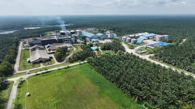 A sprawling crude palm oil refinery plant surrounded by endless rows of cultivated oil palm trees under daylight. Industrial manufacturing, agriculture, and commodity supply chain.