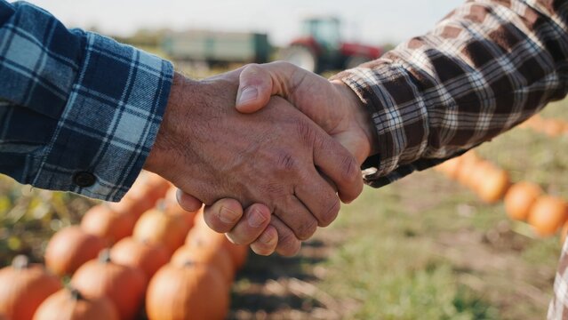 Two farmers shaking hands in a pumpkin field