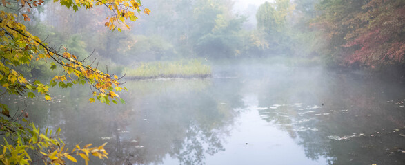 Naklejka premium Fall background morning fog copy space leaves on the ground, golden fall, dark natural authentic backdrop
