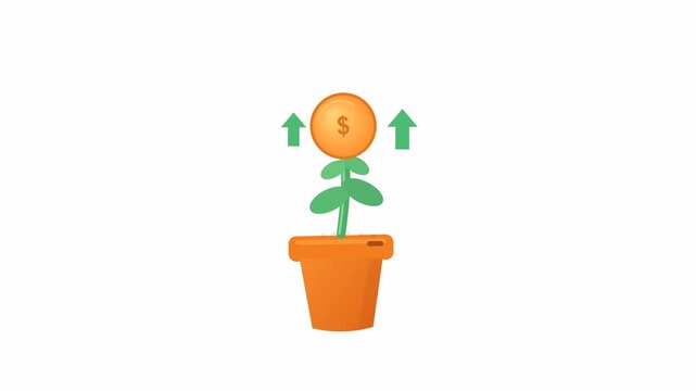 Animated graphic of money plant growing in a pot