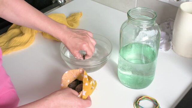 A woman carefully transfers medicinal leeches from a bag of peat into a jar of water. This process is part of hirudotherapy for health and wellness treatments.