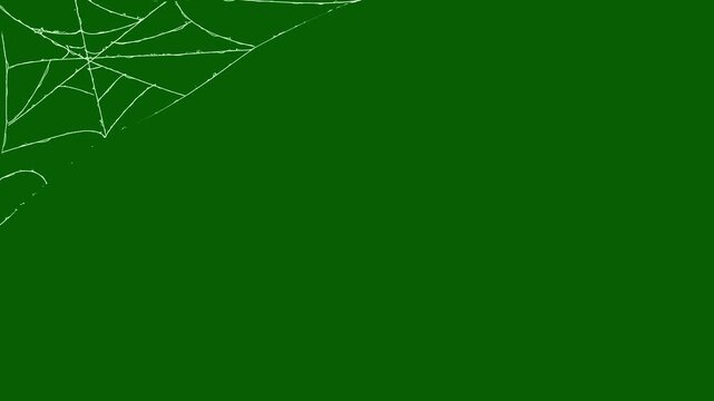 Animation of the appearance of a white web on a green background, dynamic elastic silk thread blast with rapid stretching motion, Stark spider web as it wavers in the breeze.4k video