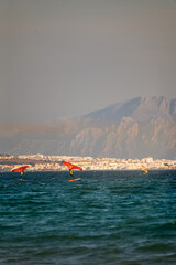 Wing foilers in Valdevaqueros Tarifa with African mountains background © Paolo Corazza