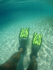 Point of View of Diver Wearing Yellow Fins in Clear Turquoise Ocean Water © gustavo