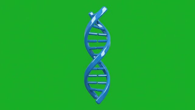 Blue 3D DNA double helix strand rotating on chroma key green screen