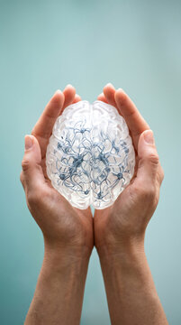 Hands holding transparent model of human brain with neural network visualization