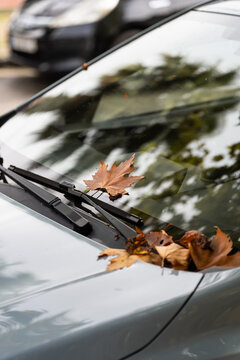 Dry brown leaves collect on car windshield and around wipers, marking first visible signs of autumn, seasonal change, leaf fall and need for regular vehicle cleaning before driving outdoors.