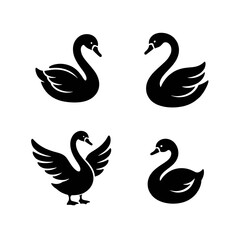 Fototapeta premium swan.ai