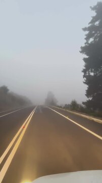 Dashboard View of Foggy Road