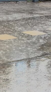 Rainwater puddles on wet pavement