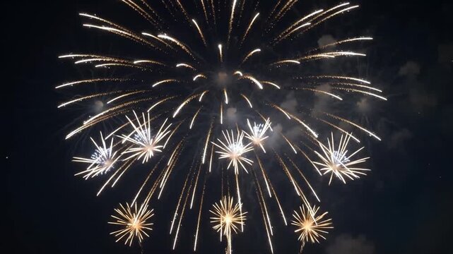 Bright fireworks exploding in the dark night sky