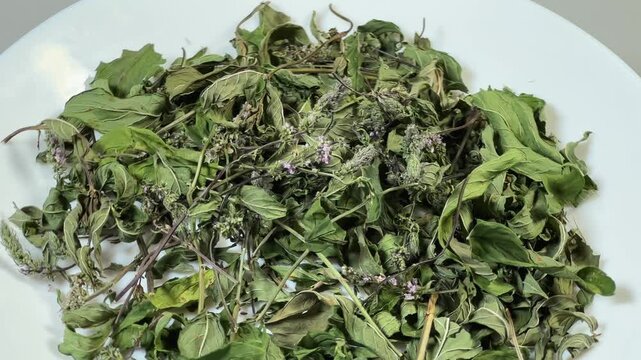 Stems of dried mint on white plate on gray background