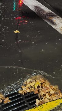 City Traffic Lights Reflected on Wet Road at Night