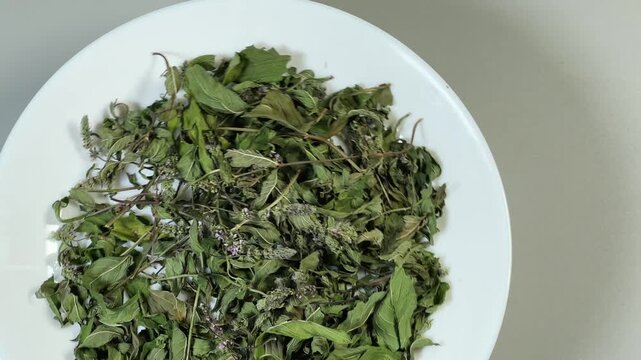 Stems of dried mint on white plate on gray background