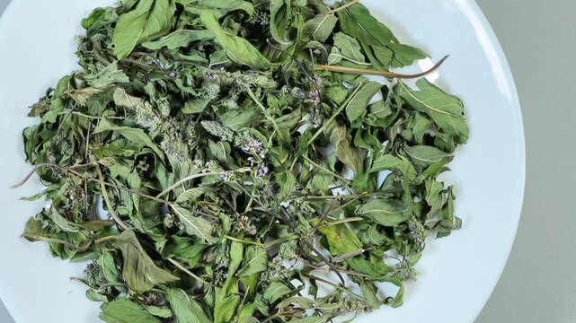 Stems of dried mint on white plate on gray background