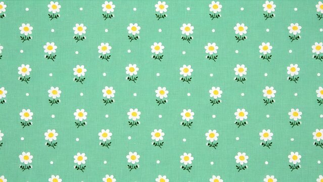 Cute daisy flower seamless pattern background