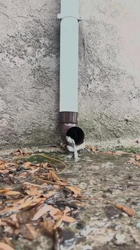 Rainwater flowing beside an urban curb