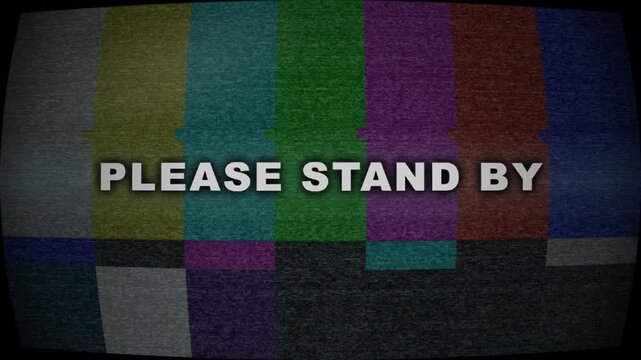 VHS Please Stand By White Text on Curved CRT Television Screen Static Interference Loop 4K