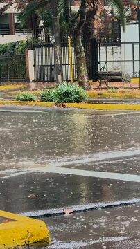 Rainy urban street and wet pavement