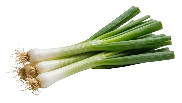 Bunch of fresh green onions with roots, isolated on transparent background