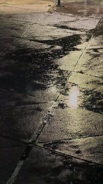 City Traffic Lights Reflected on Wet Road at Night