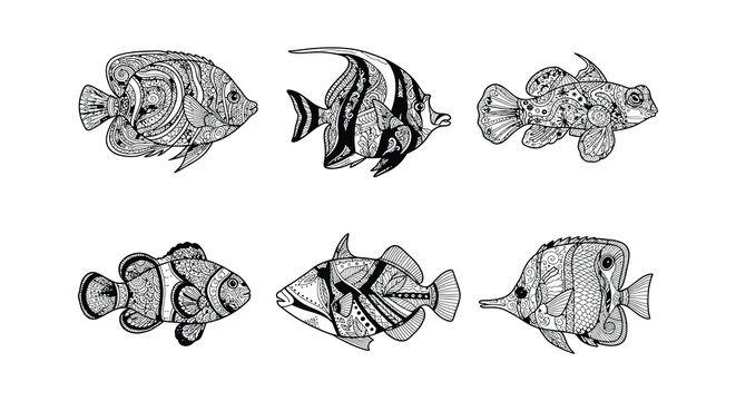 Intricate vector illustrations of various fish and a seahorse on a white background