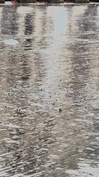 Rain Drops and Water Texture on Pavement