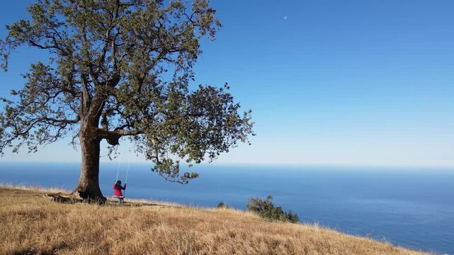 Aerial shot of an Asian woman swinging on a tree swing overlooking the Pacific Ocean in California.