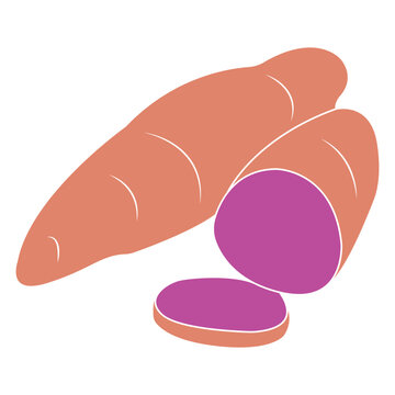 Vector Illustration of Purple Sweet Potato Slices (Flat Style)