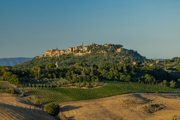 Naklejka premium Montepulciano hilltop town with vineyards in Tuscany, Italy
