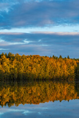 Golden autumn trees reflecting in tranquil pond in Chlum u Trebone © Richard Semik