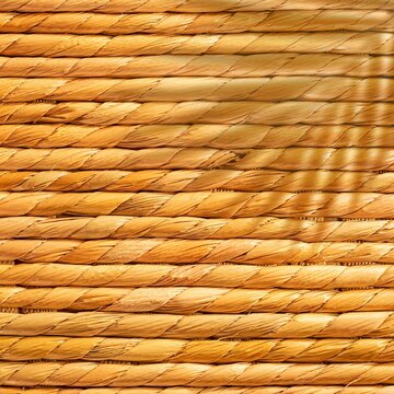 Twisted raffia cords with warm natural fiber texture