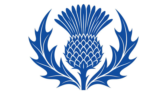Blue thistle flower vector graphic illustration showcasing traditional Scottish national symbol design elements