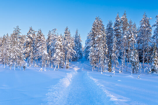Landschaft im Winter mit Wald und Weg in &Auml;k&auml;slompolo, Finnland