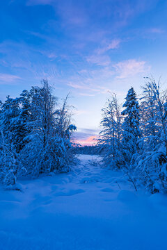 Landschaft im Winter mit Sonnenaufgang in &Auml;k&auml;slompolo, Finnland