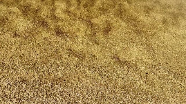 Golden sand shimmers beneath shallow water as gentle ripples move across beach shoreline. Sunlit wet grains create warm, tranquil coastal texture with softly shifting patterns, flowing over sand.