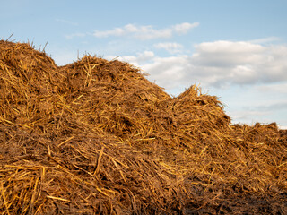 Piles of straw and manure are stacked on a farm field. The sun shines in the afternoon as clouds drift in the sky. The field shows signs of farming activity © bltvmax