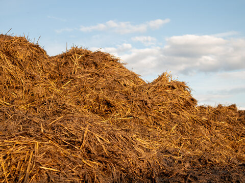 Piles of straw and manure are stacked on a farm field. The sun shines in the afternoon as clouds drift in the sky. The field shows signs of farming activity